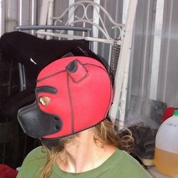 Dog Mask