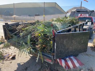 Junk Dump Trailer