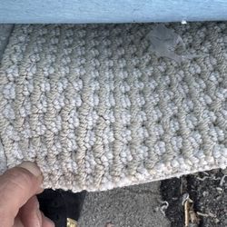 New Carpet 