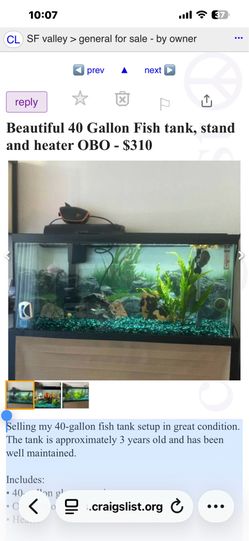 40-Gallon Fish Tank with Stand & Heater