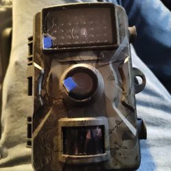 Trail Cam 