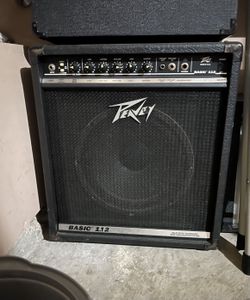 Peavey Speaker