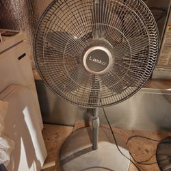 Floor Fan