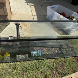 60 Gallon Fish Tank 