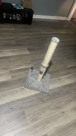 Cat Scratcher