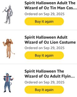 Wizard of Oz Costume