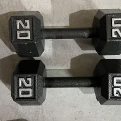 20lbs Dumbells