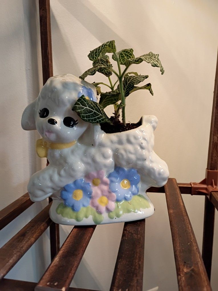 Cute Lamb Plant Holder With Plant