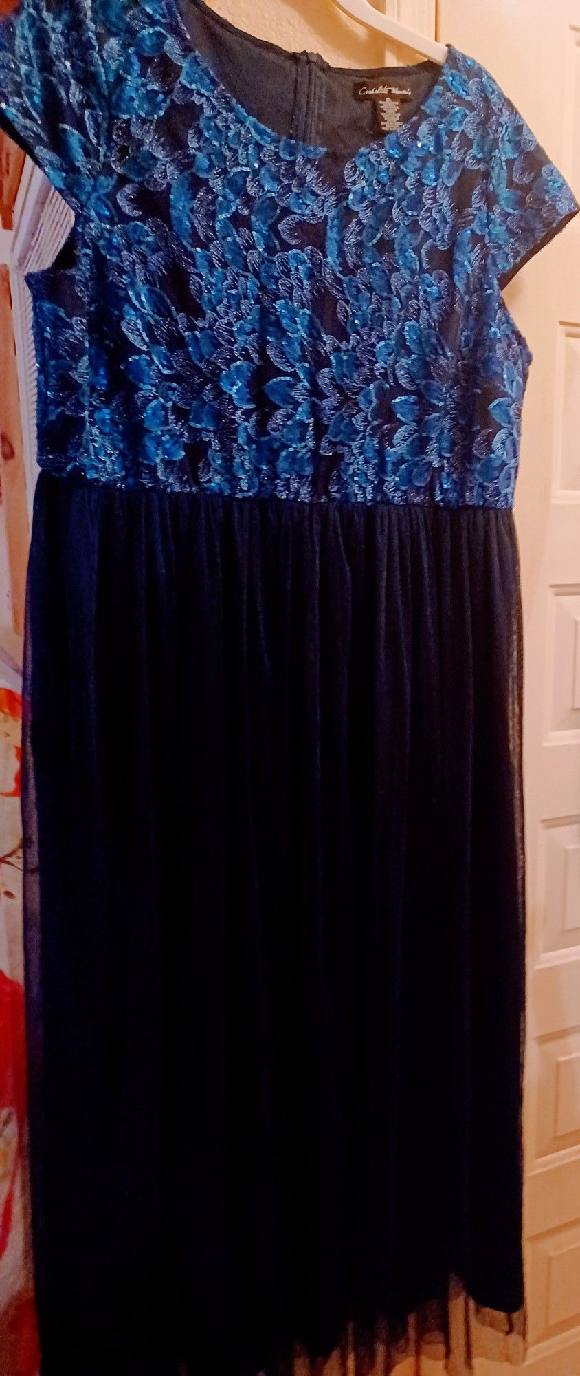 Ladies Charlotte Woman's 2X Sleeveless Dress