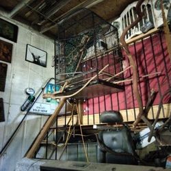 Birdcage