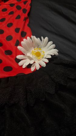 Ladybug costume dress