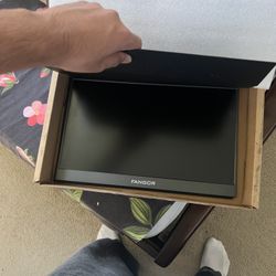 Portable Monitor