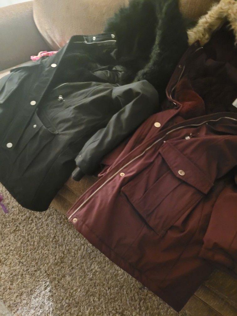 New Winter Coats