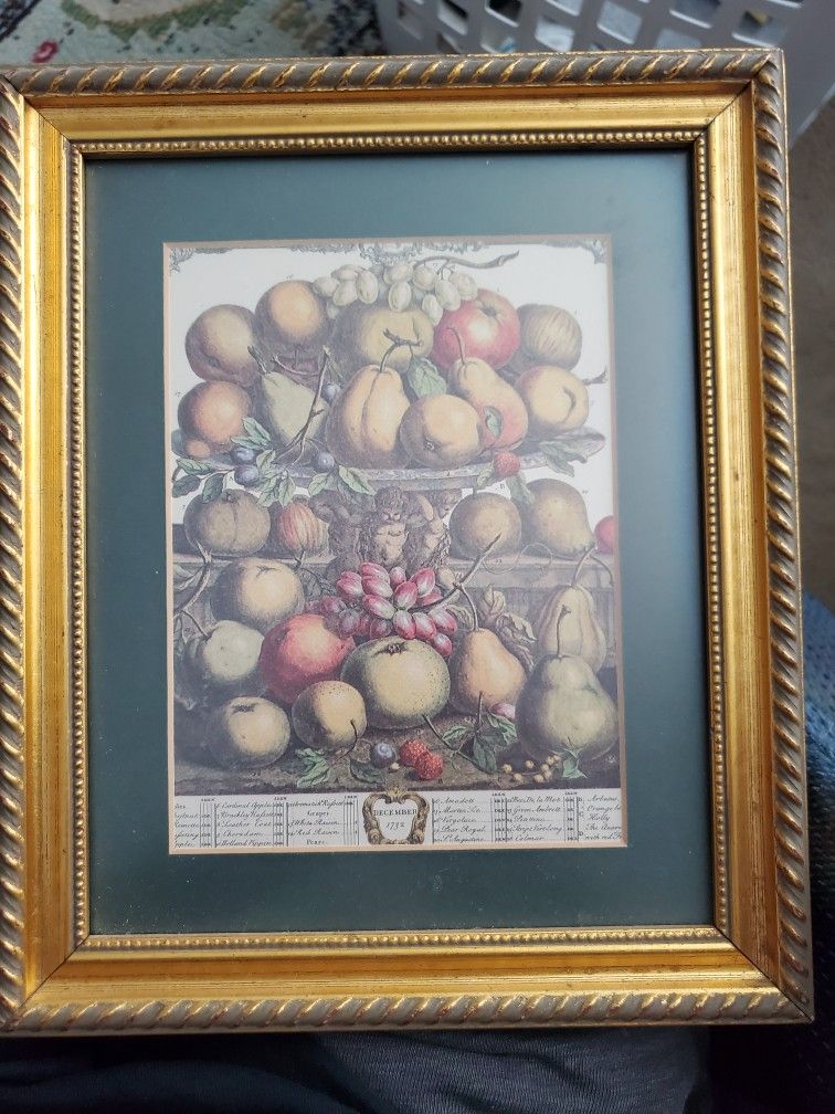 Fruit Oil Painting 