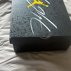 Jordan 4s Thunder