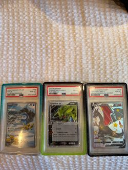 Pokemon Slabs Charizard V Psa 10, Tyrantiar Psa 8, piplup Psa 10
