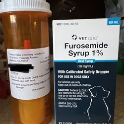 dog meds