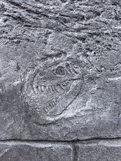 Dinosaur Concrete Stamp 