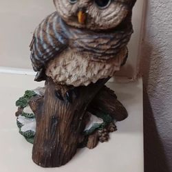 Vintage Collectible Barred Owl