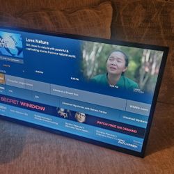 32" Vizio