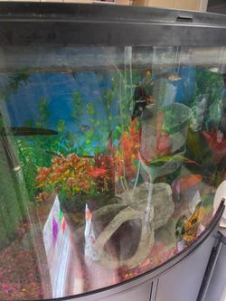 aquarium