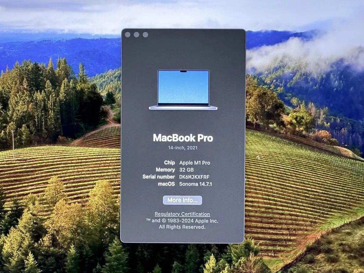 MacBook Pro 14", M1 Pro, 32GB RAM, 1TB SSD