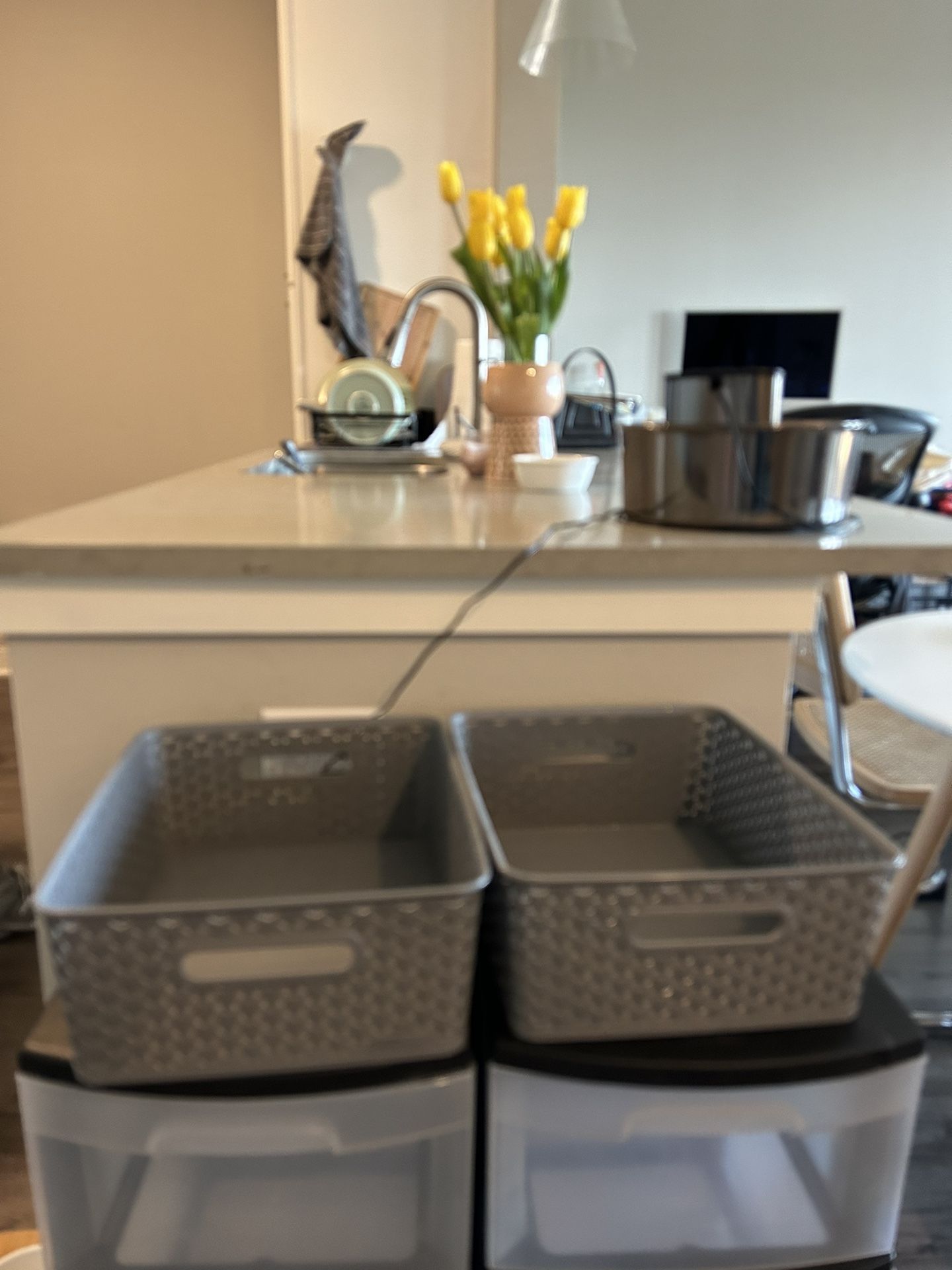 plastic storage bins - 2 for $10