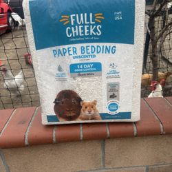 Full Cheeks Paper Bedding 
