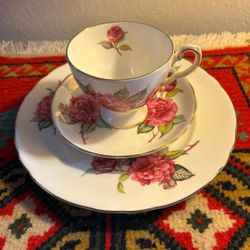 Juego Taza Platos Porcelana Camelias Germany
