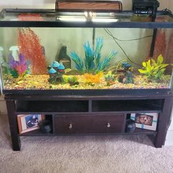 Fish Tank 70 Gallon 