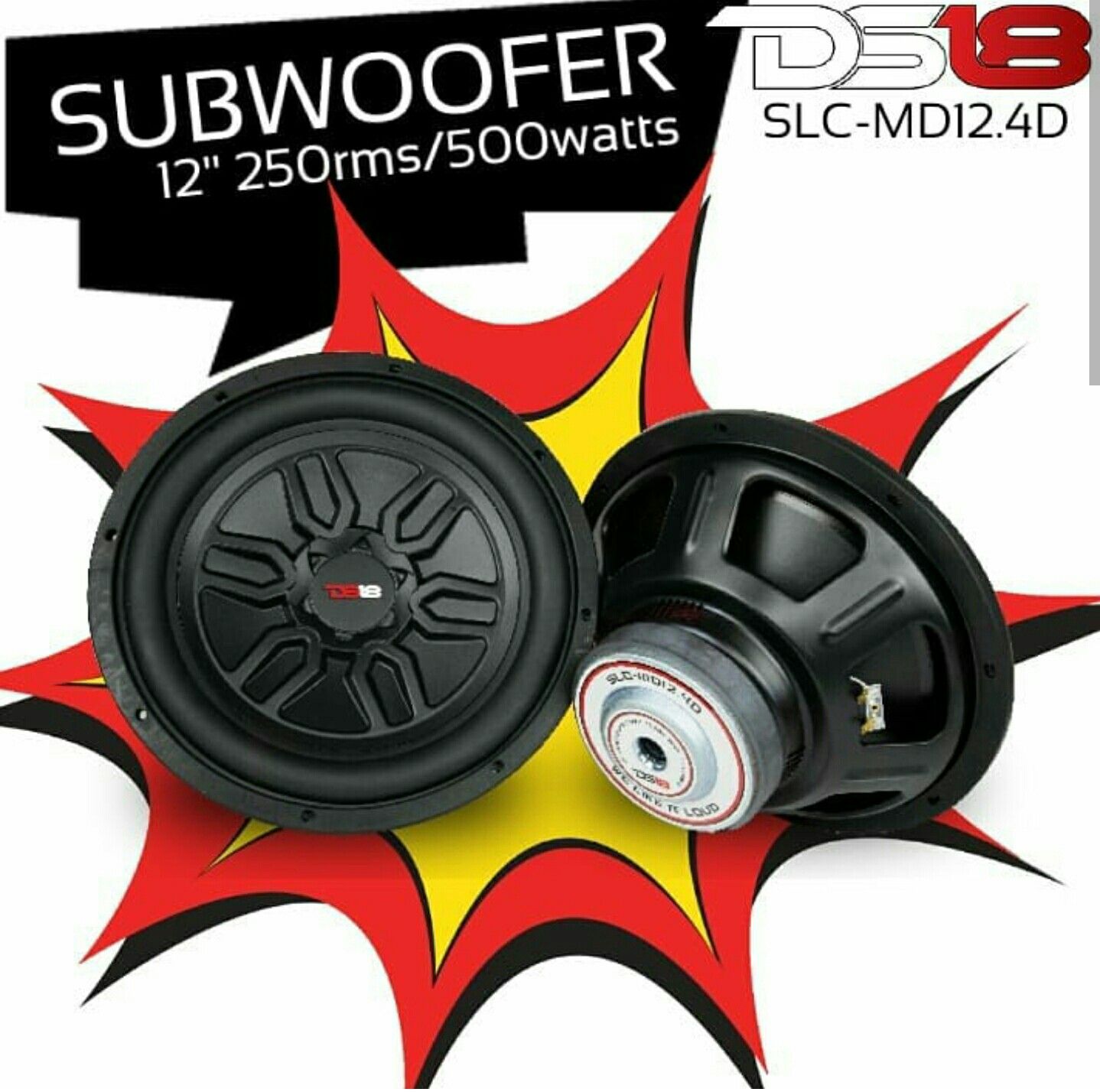 12" subs