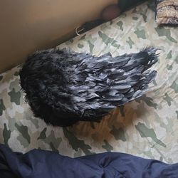 Hand Crafted Black Angel Wings Made With Real Feathers 