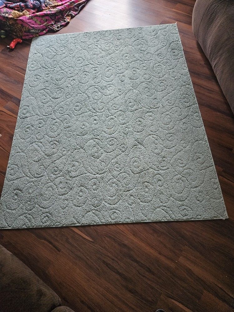 Nice Light Teal Area Rug Practically Brand New