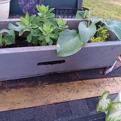 Garden Pot With Flowers 