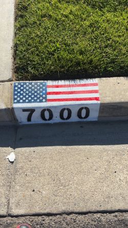Curb painting