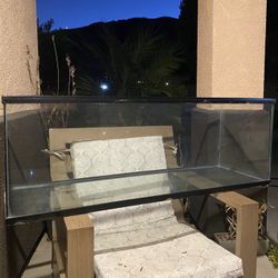 50 Gallon Glass Tank