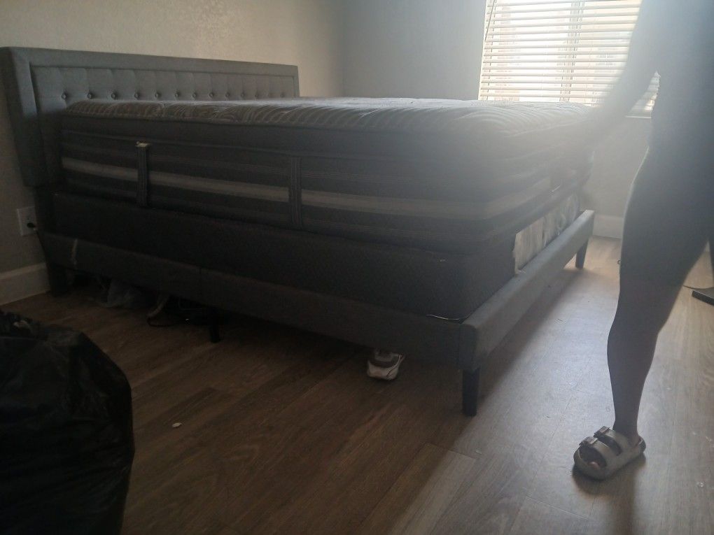 King Bed And Box Spring Pls Frame