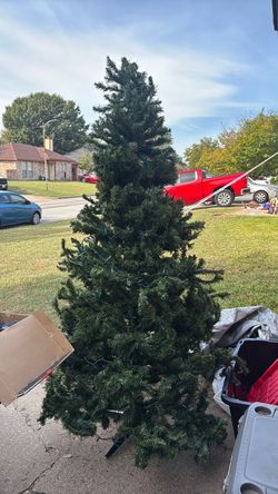 Christmas Tree