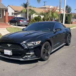 Mustang Ecoboost 2015