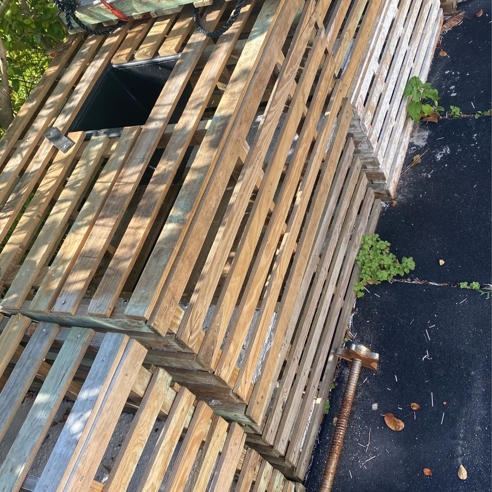 Lobster Traps
