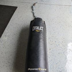 Everlast Powerlast Punching Bag