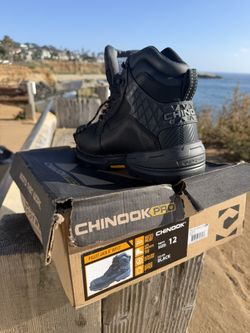$100