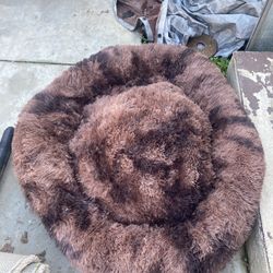 Large Dog Bed