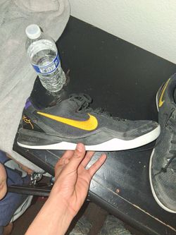 Kobes 8s laker way size 13