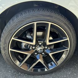 Si Sport Ridgeline CRV Odyssey Honda Civic Rims Accord Wheels Tsx Mdx