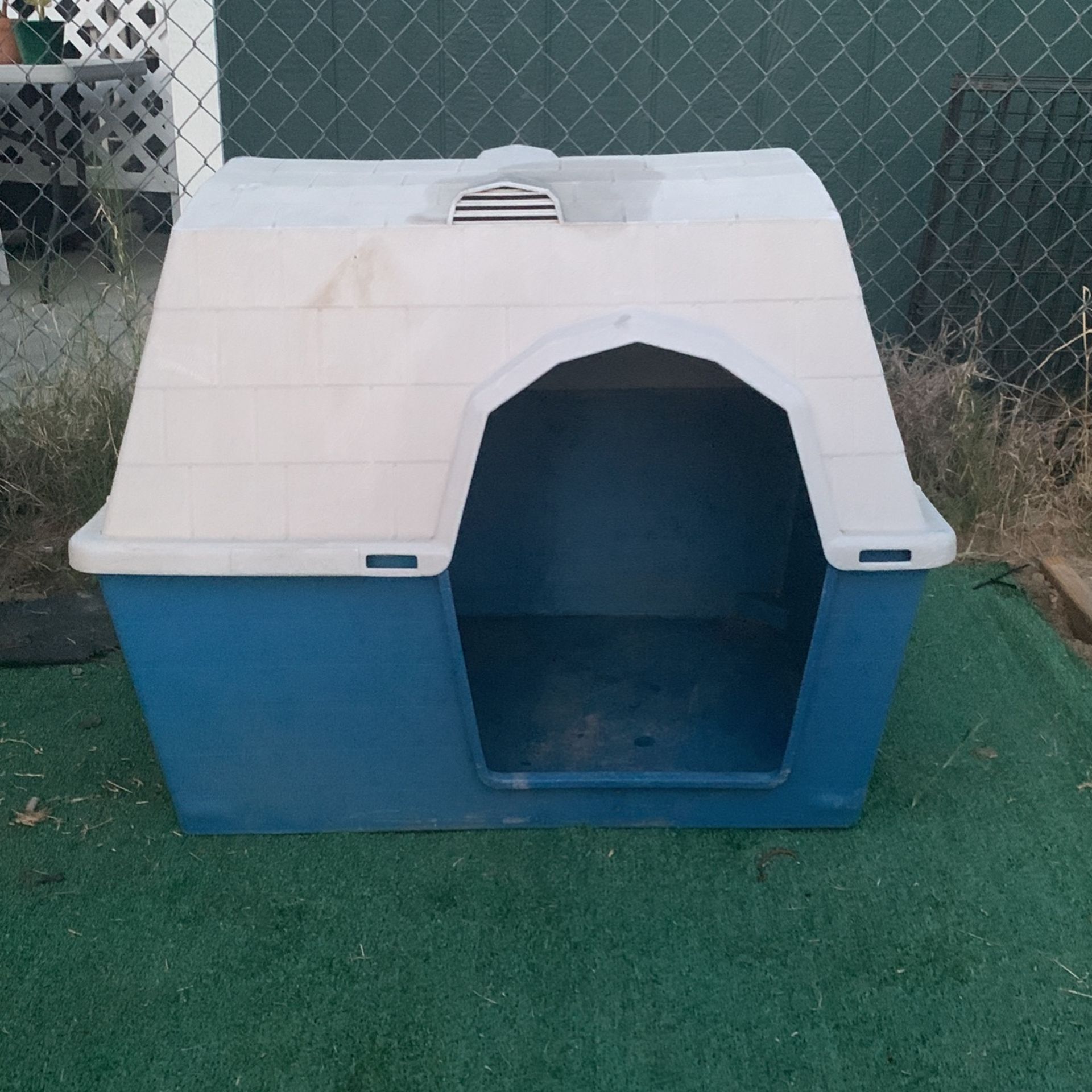 Dog House 