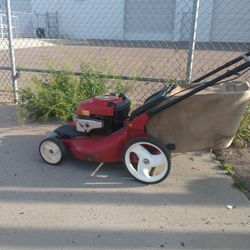 Lawn Mower 
