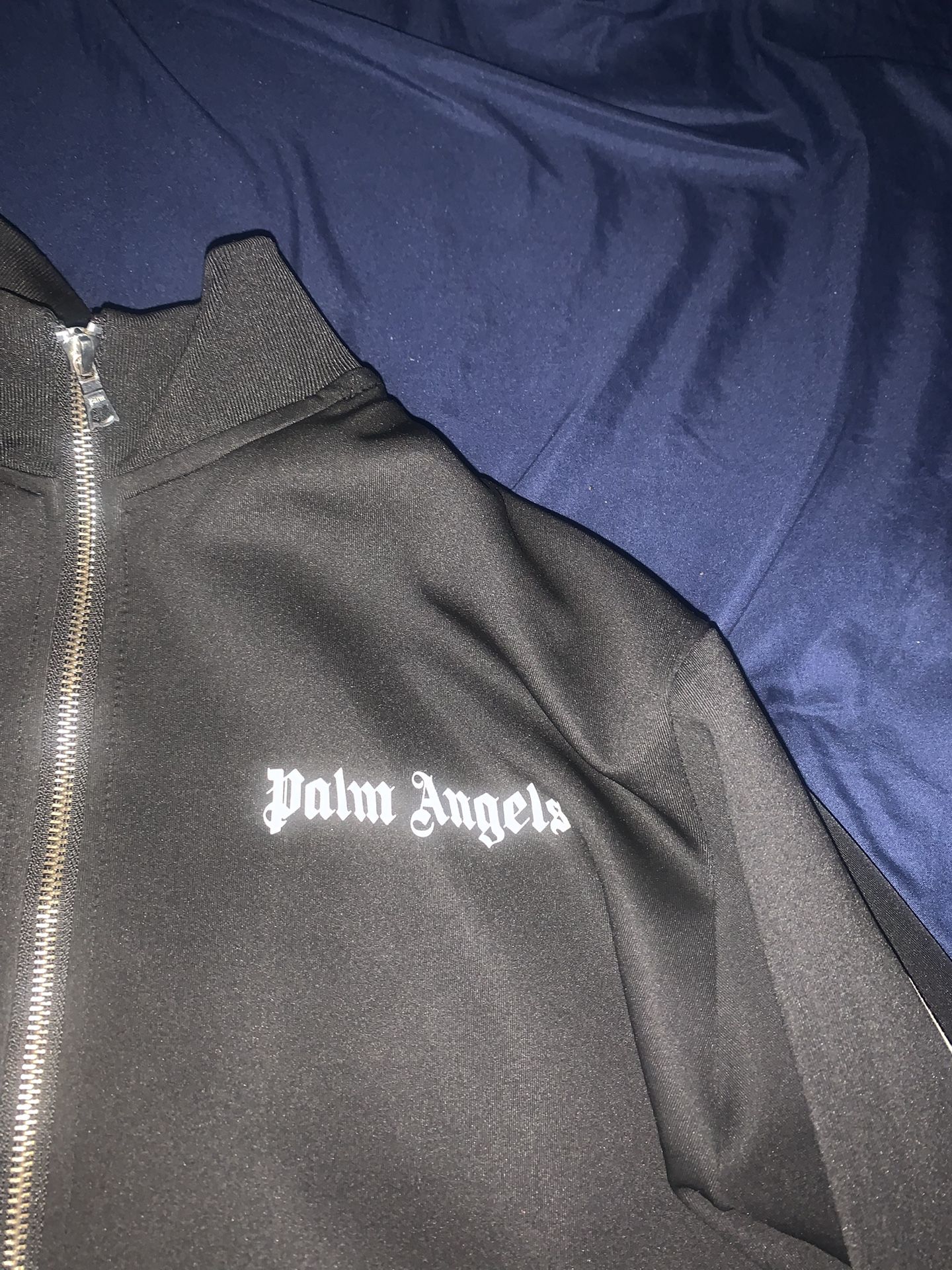 Black Palm Angles