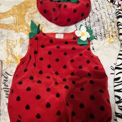 Strawberry Halloween Costume , Size 9-12months