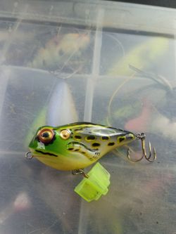 I have more fishing lures for 5 to 8 $
